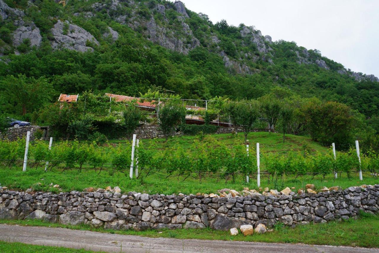 Apartamento Old House Kontic Nikšić Exterior foto